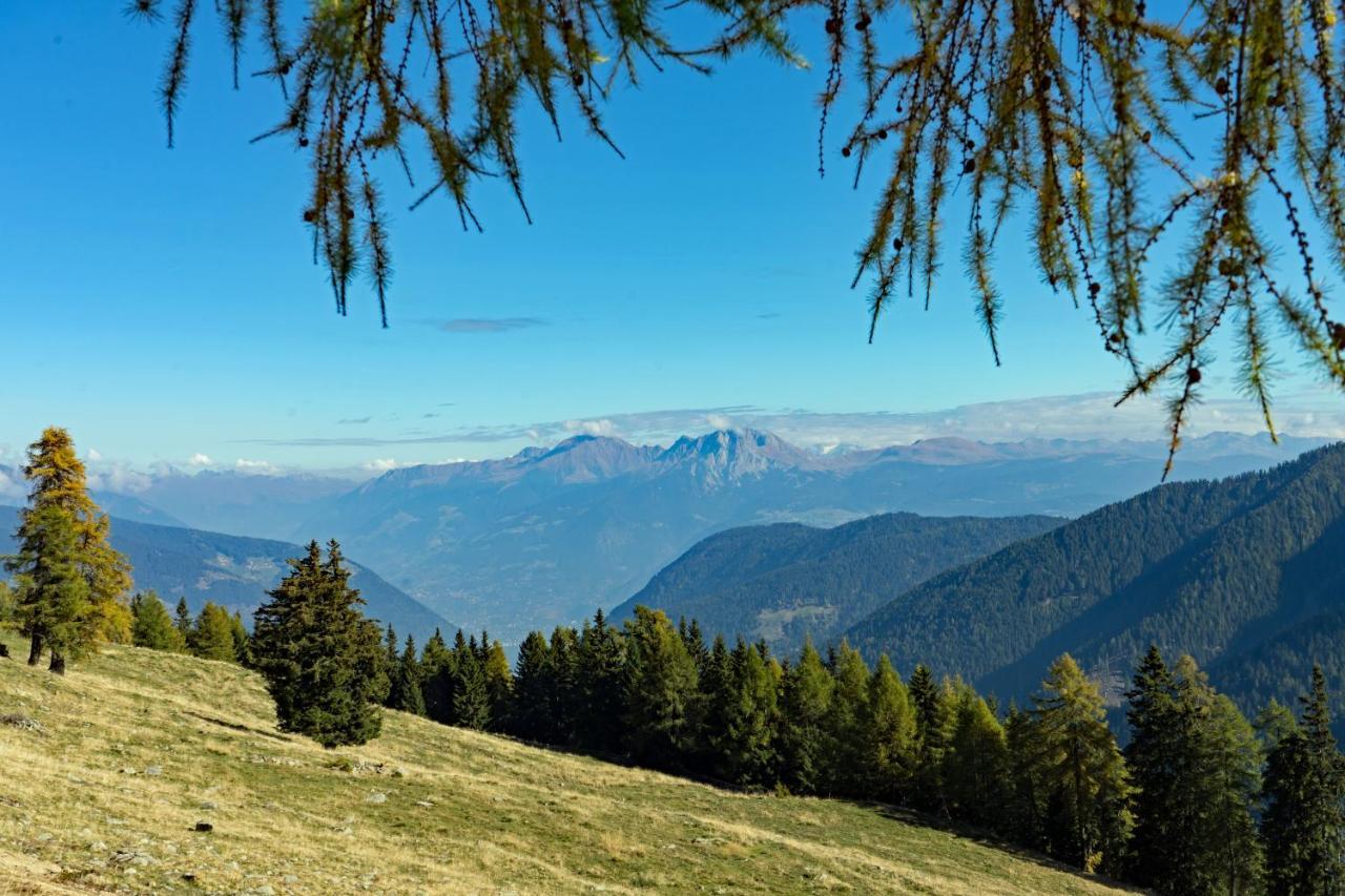 Hotel Alpenhof Ултімо Екстер'єр фото